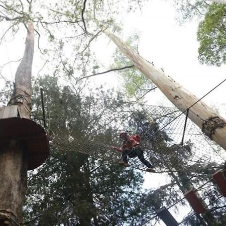 Lawu Forest Camp Sarangan Exteriér fotografie