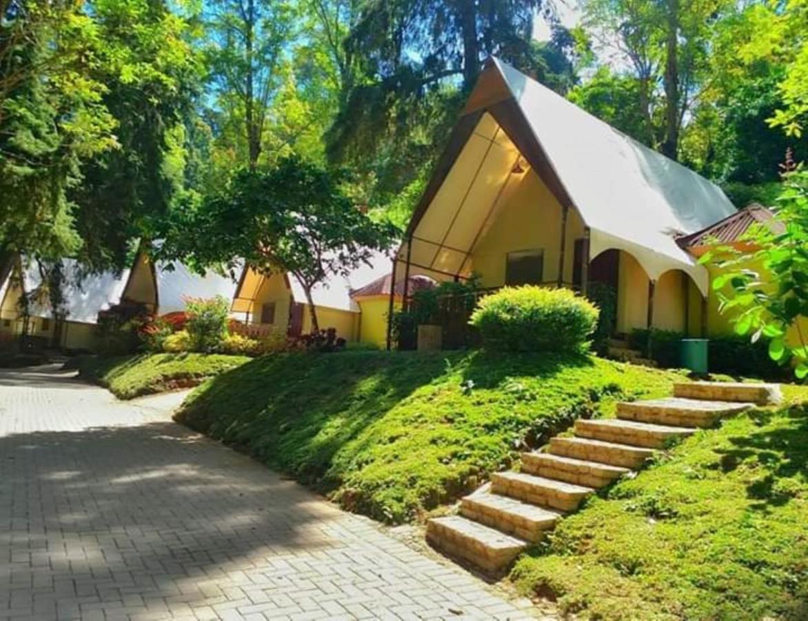 Lawu Forest Camp Sarangan Exteriér fotografie