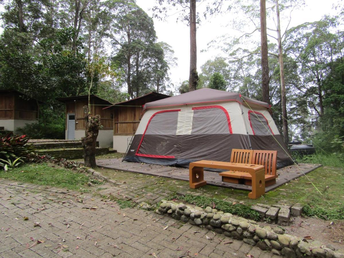 Lawu Forest Camp Sarangan Exteriér fotografie