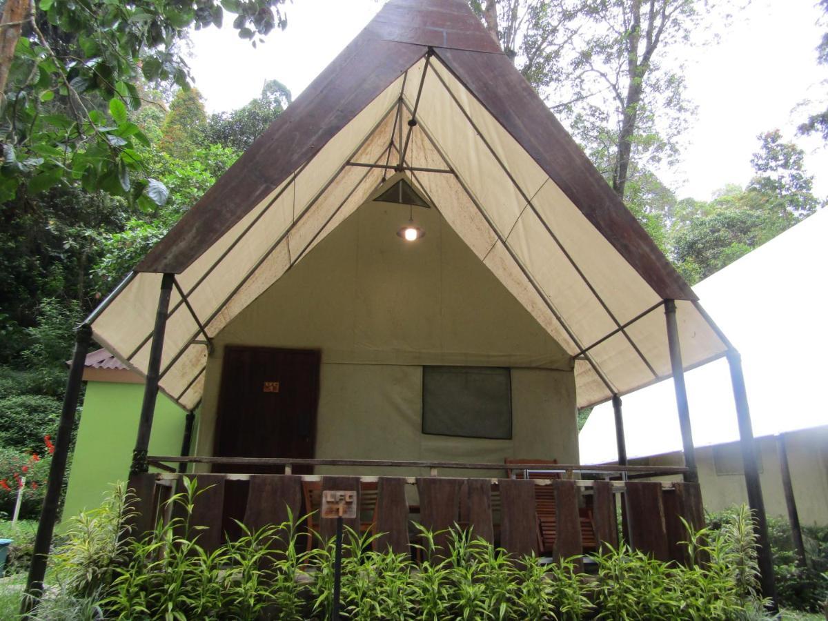 Lawu Forest Camp Sarangan Exteriér fotografie
