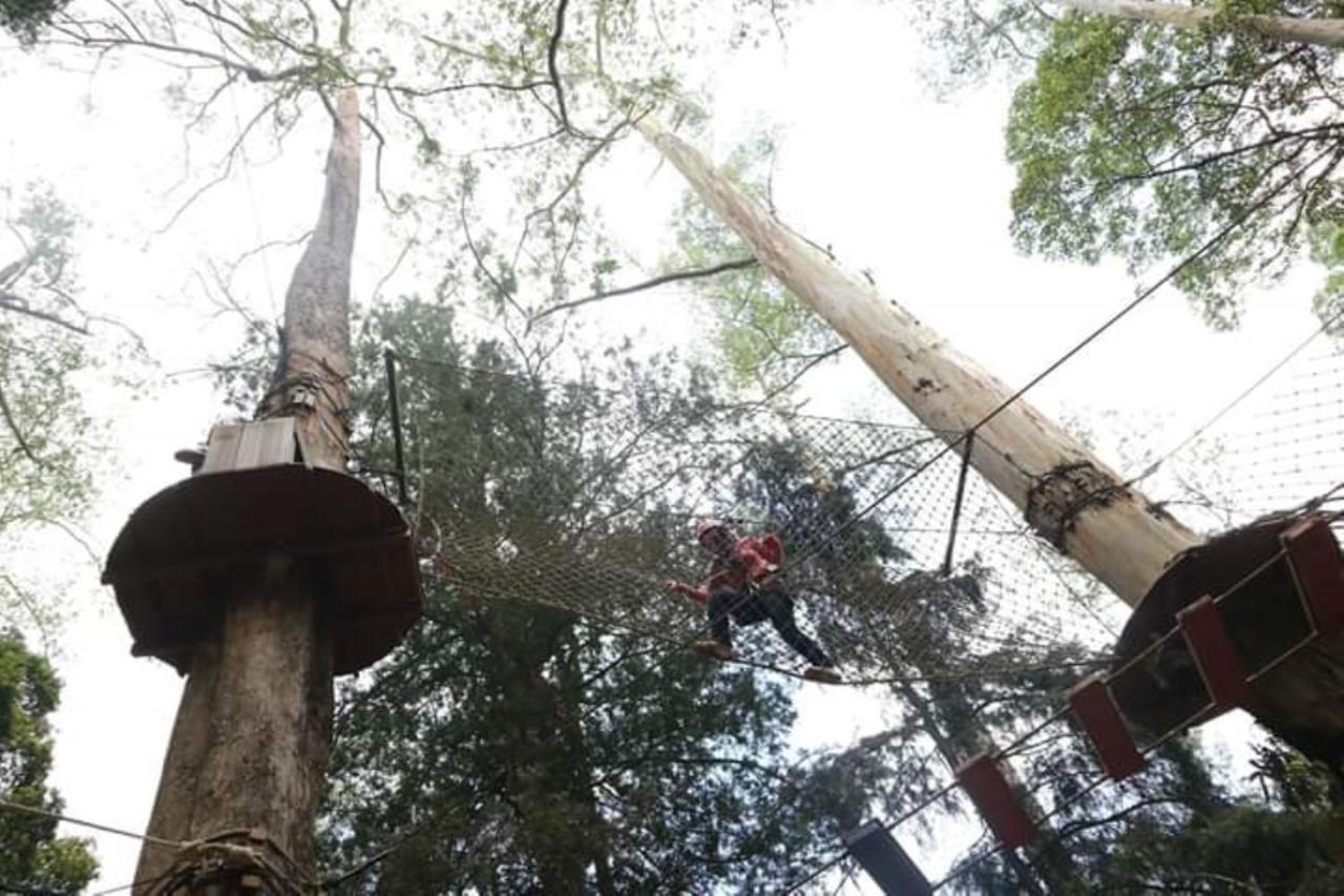 Lawu Forest Camp Sarangan Exteriér fotografie