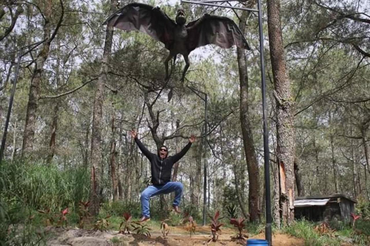 Lawu Forest Camp Sarangan Exteriér fotografie