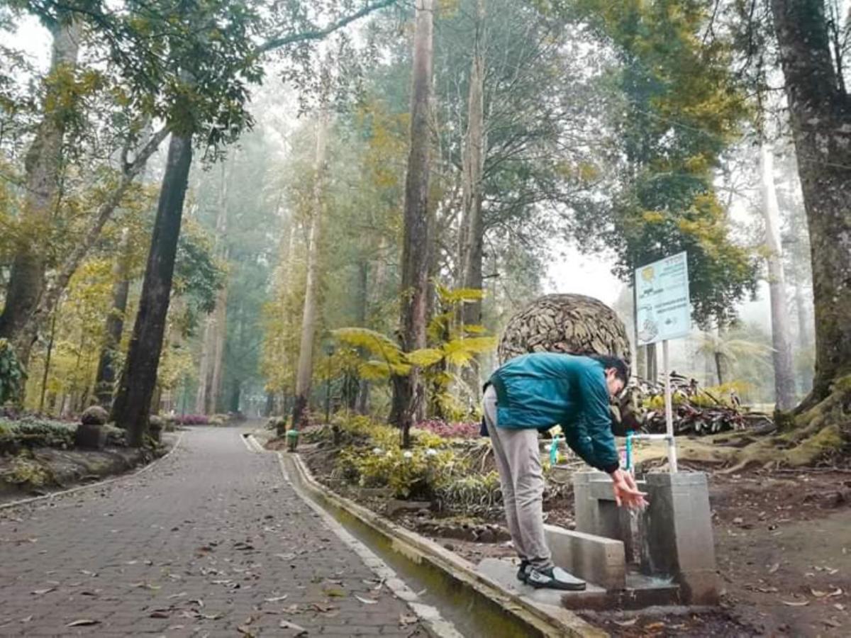 Lawu Forest Camp Sarangan Exteriér fotografie