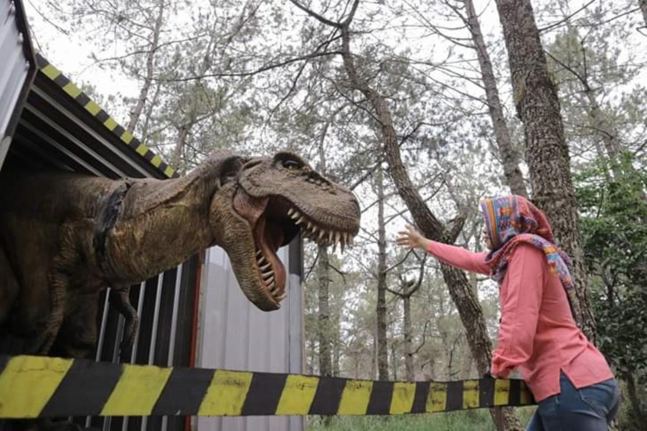 Lawu Forest Camp Sarangan Exteriér fotografie