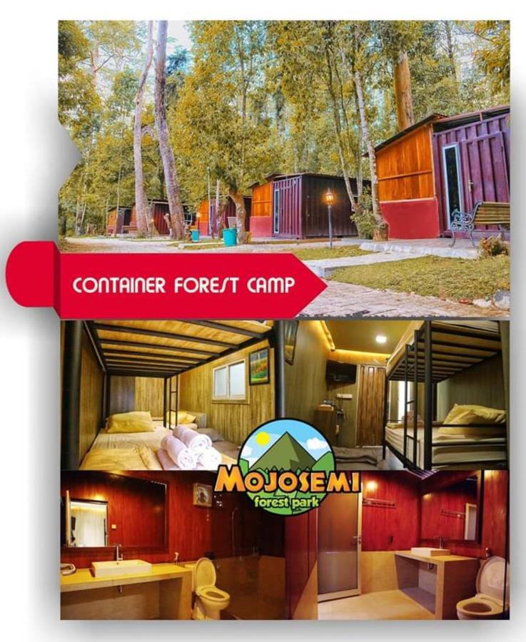 Lawu Forest Camp Sarangan Exteriér fotografie