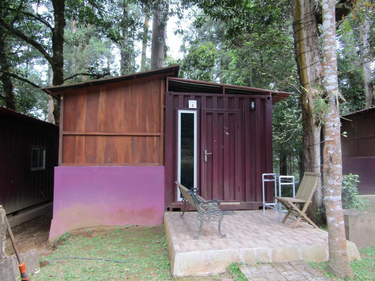 Lawu Forest Camp Sarangan Exteriér fotografie