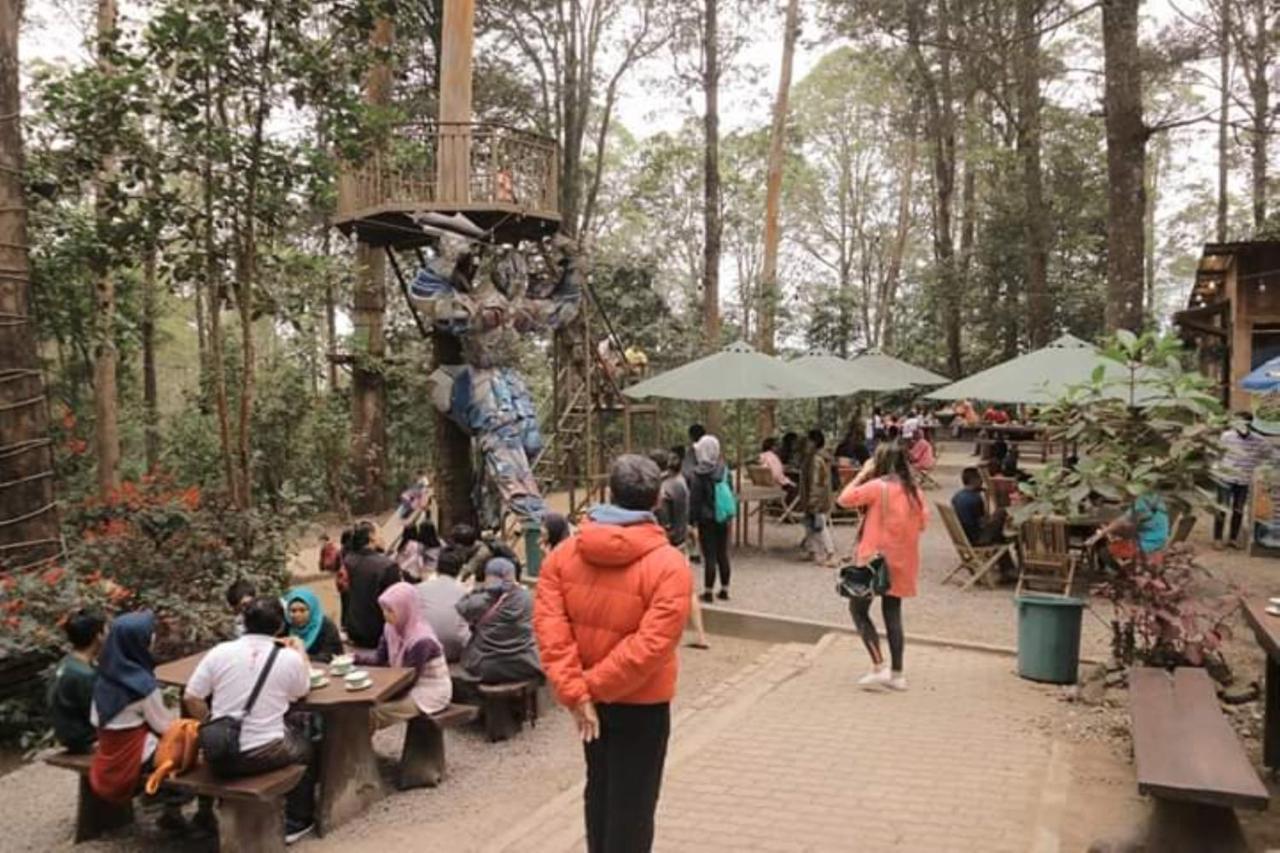 Lawu Forest Camp Sarangan Exteriér fotografie