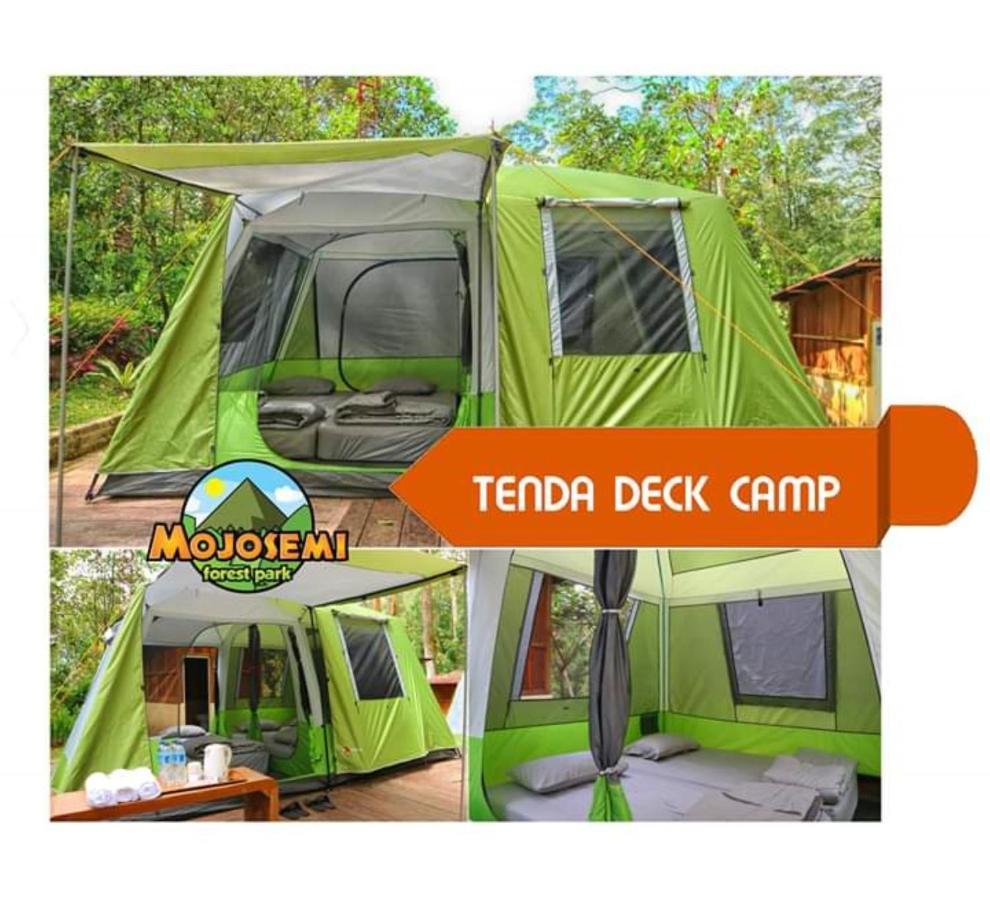 Lawu Forest Camp Sarangan Exteriér fotografie