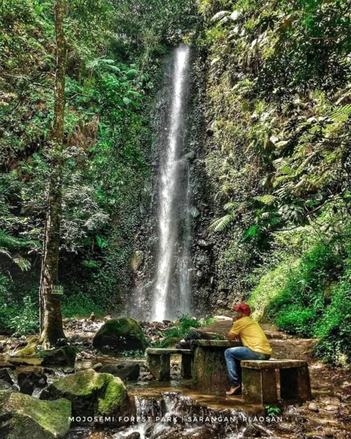Lawu Forest Camp Sarangan Exteriér fotografie