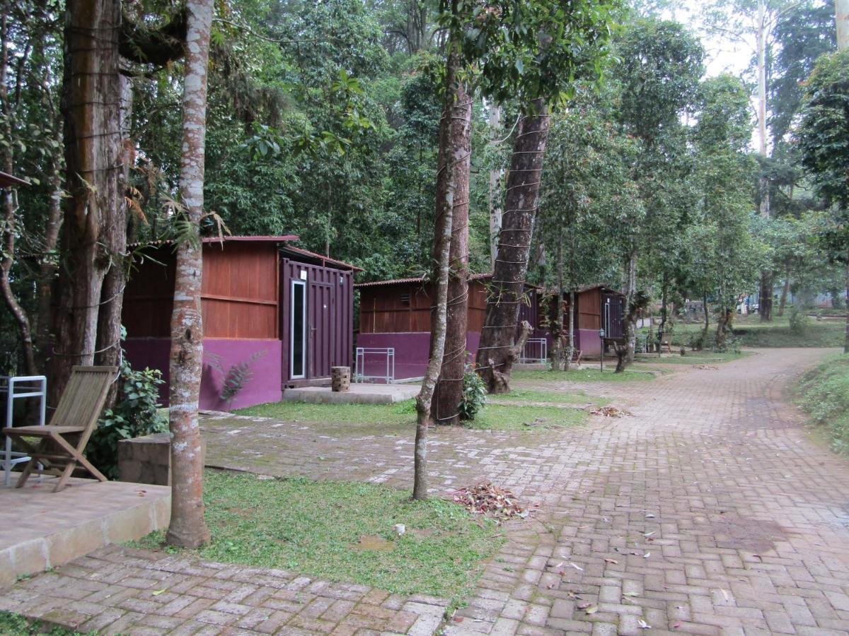 Lawu Forest Camp Sarangan Exteriér fotografie